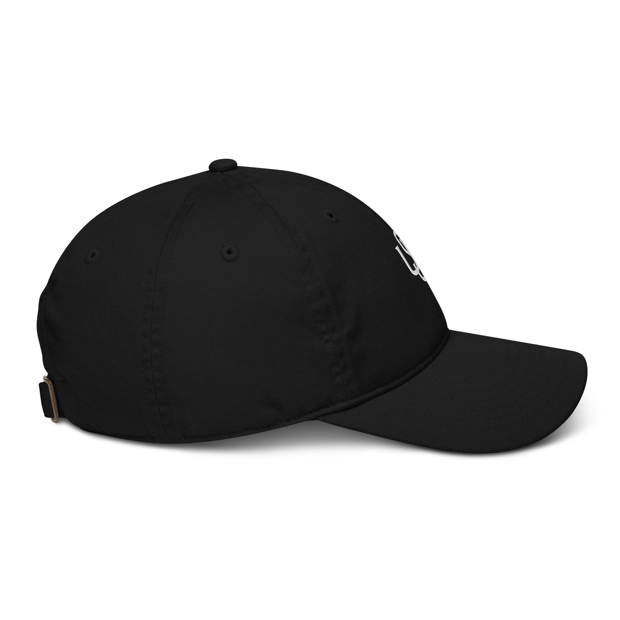 WS Fashion Cap - Wet Sundays